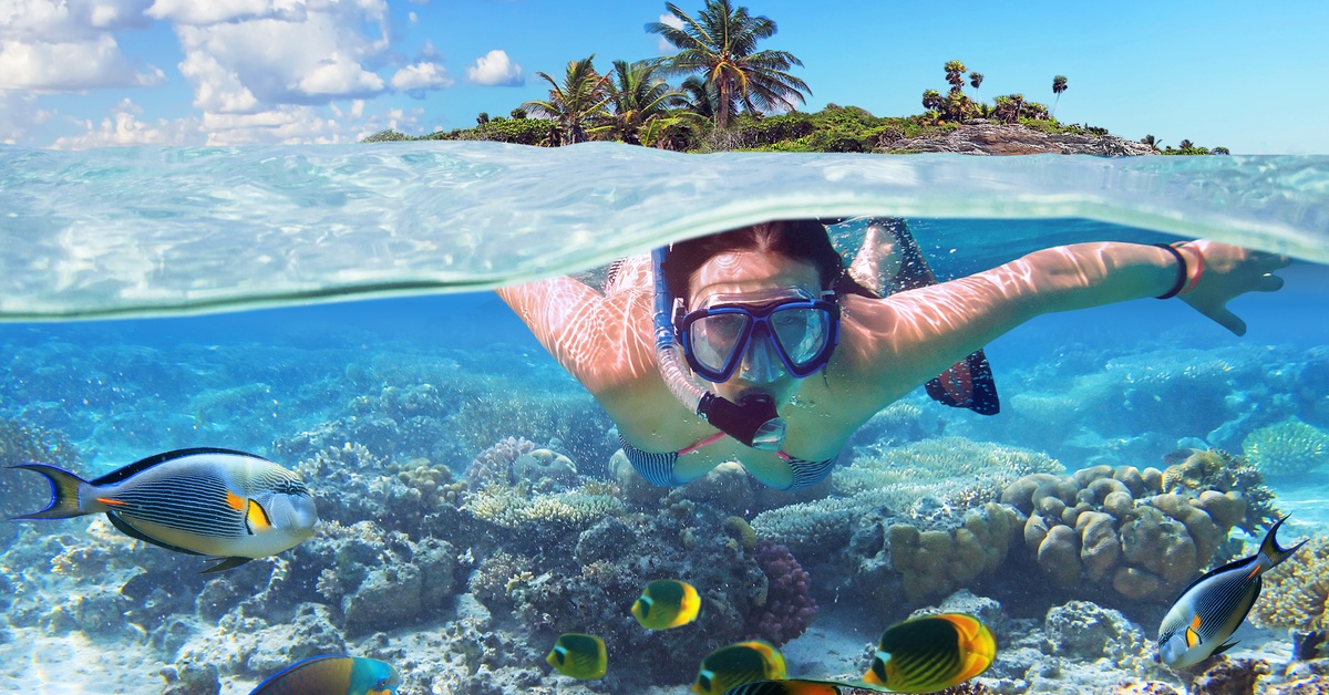 A close-up view shows a person snorkeling near a coral reef in turquoise waters. Colorful fish swim around them.