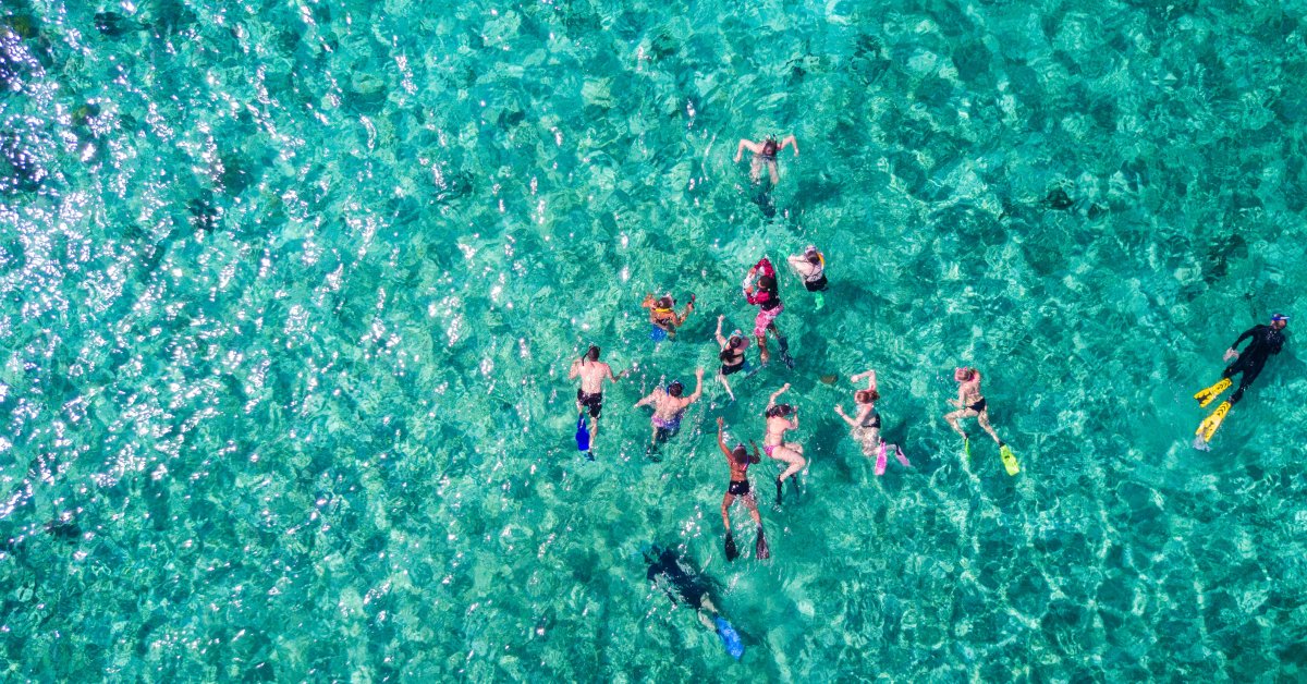 An aerial view shows a large group of people snorkeling in crystal-clear turquoise water. The sun is shining.